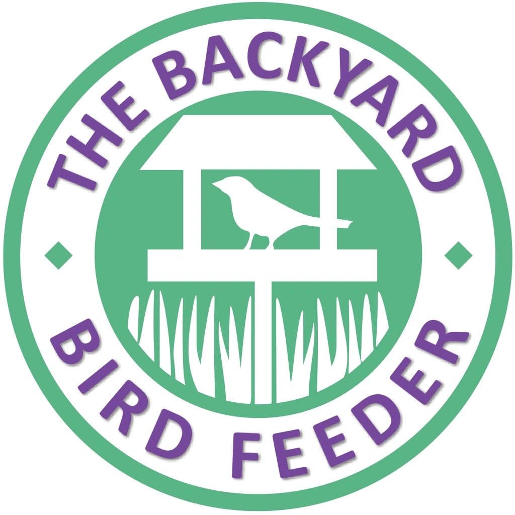 The Backyard Bird Feeder